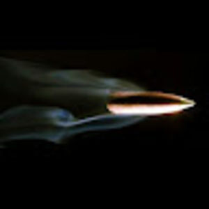 Meet your Posher, Logan